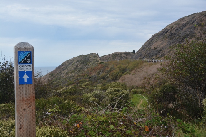 grassland along the coast looking north